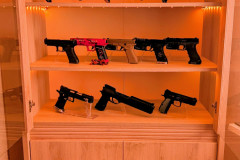 Gun case